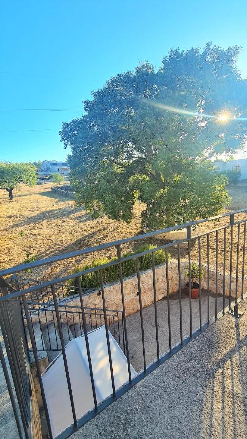 House Bleki Holiday home Sibenik